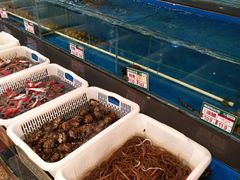 -御唐府海珊瑚主题餐厅