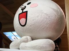 -line friends(明洞旗舰店)