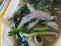 -胖大姐黄辣丁鱼庄(新津店)