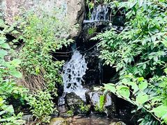 -藏龙百瀑风景区