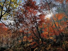 -崂山九水游览区