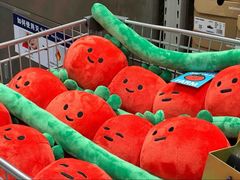 -山姆会员商店(杨桥西路店)