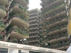 -灯盏窝饭店(新都分店)