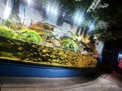 -石林冰雪海洋世界