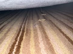 -石家庄万象天成假日酒店