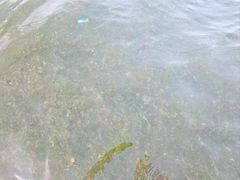 -青岛第三海水浴场