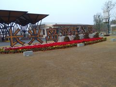 -上海长兴岛郊野公园