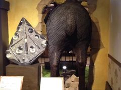 -信不信由你博物馆