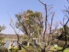 -上海海湾国家森林公园