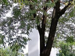 -大理文庙(大理古城)