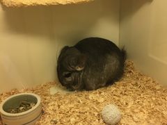 -龙猫仔乐园(惠福东路店)