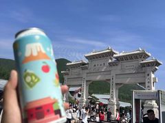 -雾与山茶(大禹城店)