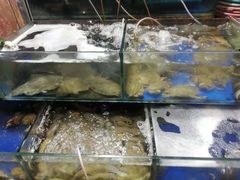 水产区-香满居张记小厨私房菜(青岛站店)