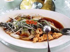 -丹江渔村(望京店)