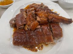 -姚林轩