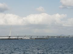 -深圳湾公园(南山区)