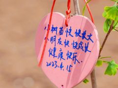 -魔力熊儿童早教托育中心(硚口同馨店)