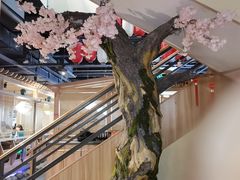 -九田家黑牛烤肉料理(新光汇店)