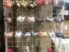 -猫咪博物馆(顶澳仔猫街店)