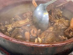 -霞姐屯昌枫木香草鸭店(海螺店)