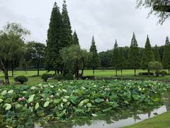 -宜兴龙背山森林公园