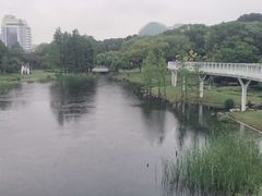 -昆山城市公园