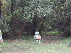 -同里国家湿地公园