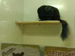 -龙猫仔乐园(惠福东路店)