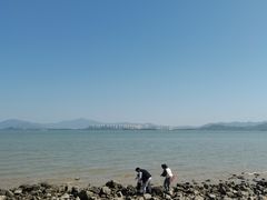 -深圳湾公园(南山区)