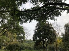 -杭州花家山庄