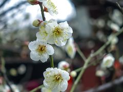 -钱王祠