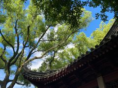 -天一阁博物院