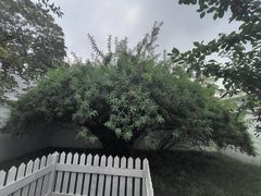-北京鲁迅博物馆(北京新文化运动纪念馆鲁博馆区)