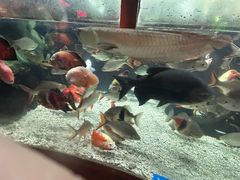 -太平洋海底世界