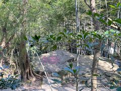 -桃花岛风景旅游区