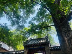 -青岛崂山太清宫