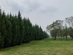 -汉长安城未央宫国家考古遗址公园