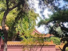 -戏马台景区