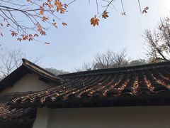 -法云古村