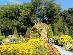 -上海共青森林公园