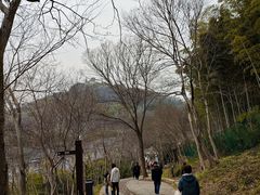 -上海佘山国家森林公园西佘山园