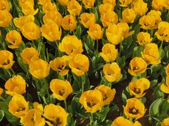 -玄武湖景区-情侣园游乐场