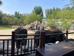 -北京野生动物园