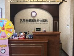 -宠爱国际动物医院· 猫科· 外科·中兽医(长白店)