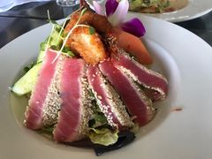 -Fish Hopper