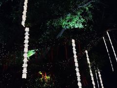 -凤城·食都