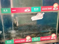 -鱼酷活鱼烤鱼(梅江印象城店)