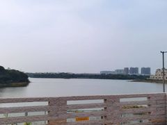 -立新湖公园