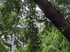 -鹅岭公园瞰胜楼