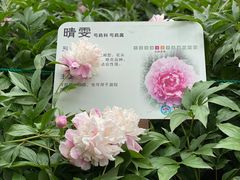 -仁和公园(顺义区)